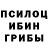Псилоцибиновые грибы прущие грибы TTpauMuBJI
