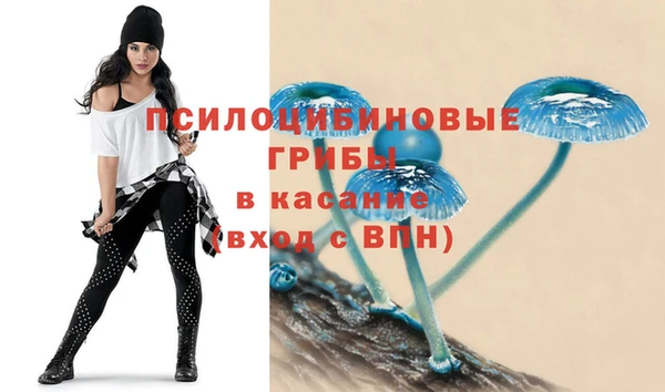 ГАЛЛЮЦИНОГЕННЫЕ ГРИБЫ Киреевск