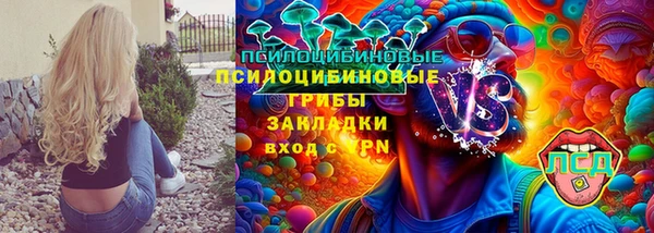 ГАЛЛЮЦИНОГЕННЫЕ ГРИБЫ Киреевск