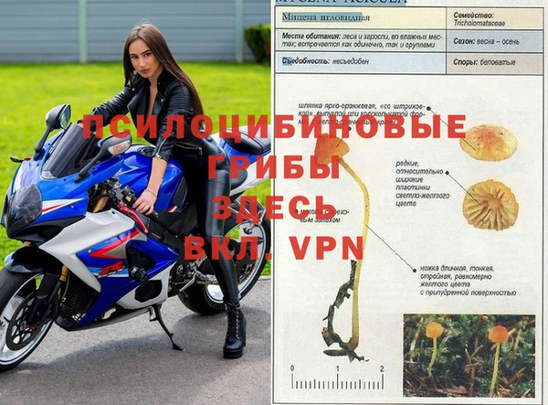 не бодяженный Козельск