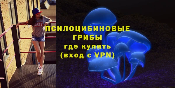 ГАЛЛЮЦИНОГЕННЫЕ ГРИБЫ Киреевск